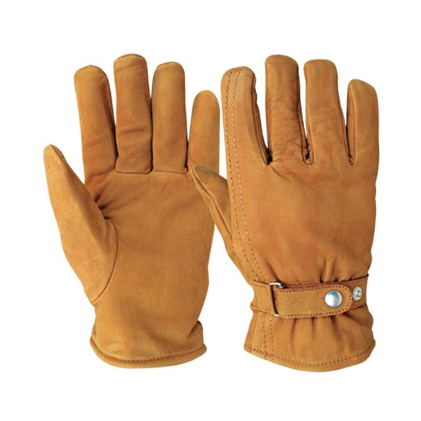 Winter Gloves